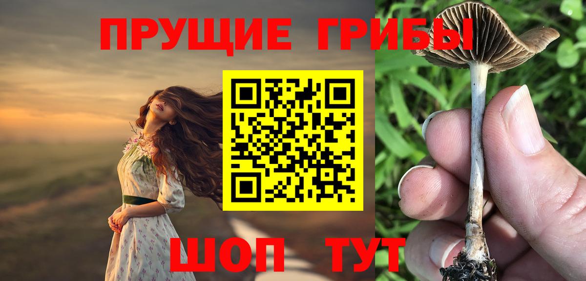 Соль-Илецк  Галлюциногенные грибы Psilocybine cubensis  купить  цена  Вход с VPN 